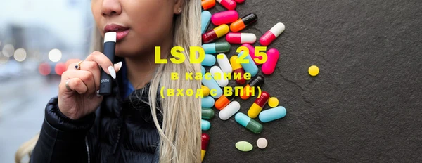 PSILOCYBIN Вяземский