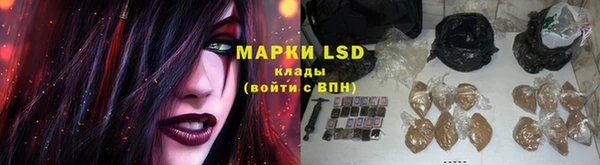 PSILOCYBIN Вяземский