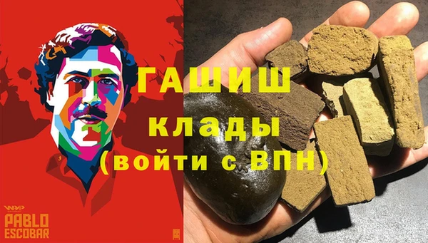 PSILOCYBIN Вяземский