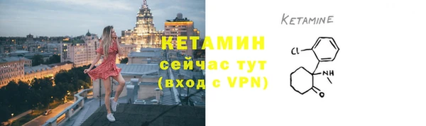 PSILOCYBIN Вяземский