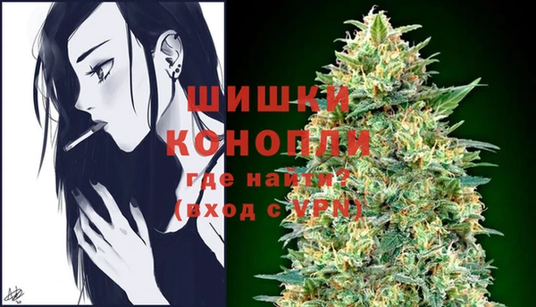 PSILOCYBIN Вяземский