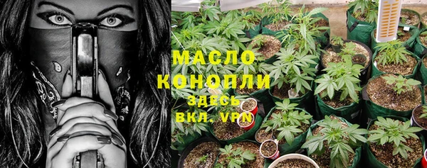 PSILOCYBIN Вяземский